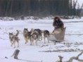 Alaska, Lupta Pentru Supravietuire | DOCUMENTAR IN ROMANA  